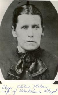 Eliza Adeline Goheen (1838 - 1921) Profile